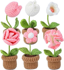 CraftsFabrics Crochet Kit for Beginners Adults Potted Flower DIY Crochet Set Crochet Starter Kit