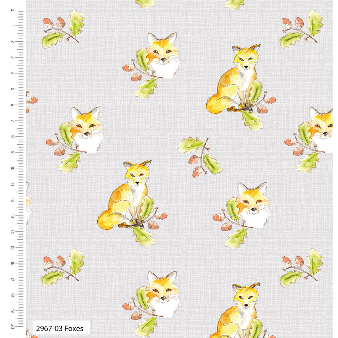 A Country Walk by Debbie Shore Fabric Organic Cotton Collectiom
