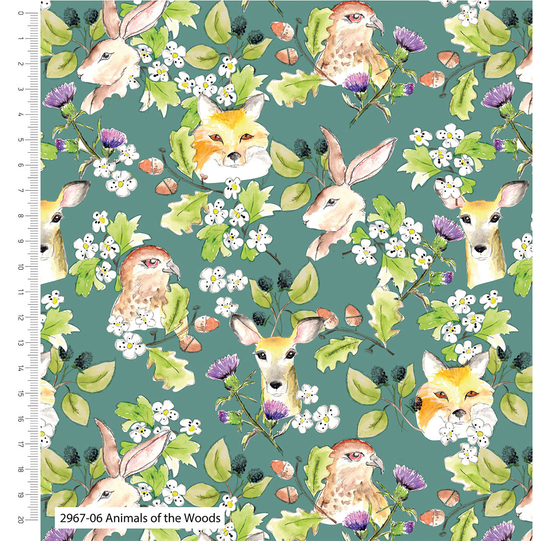 Make + Believe Loose Fabric A Country Walk by Debbie Shore Fabric Organic Cotton Collectiom