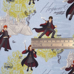 Harry Potter Fabric - Children's Fabric (CCL055)