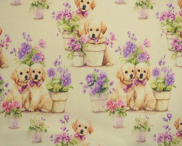 Mindy Cotton Golden Puppies - MINDC8