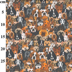 Rose & Hubble Digital Cotton Print Sea of Dogs Fabric 60'' Extra Wide (RHD1138)