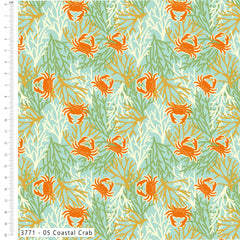 Craft Cotton Co. „The Sky Above“ Salbeigrün, 100 % Baumwolle, 110 cm breit, digital bedruckter Stoff zum Basteln, Quilten, für die Heimdekoration und Kinderbasteln
