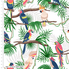 Gone Wild Parrots Birds Cotton Fabric